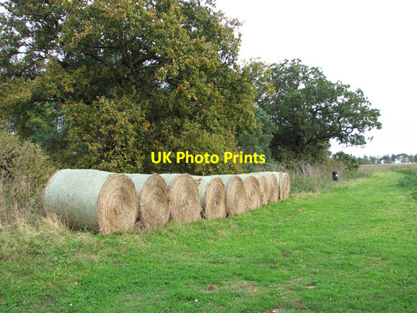 Photo 6"x4" Straw bales on field margin Thurlton Links c2014