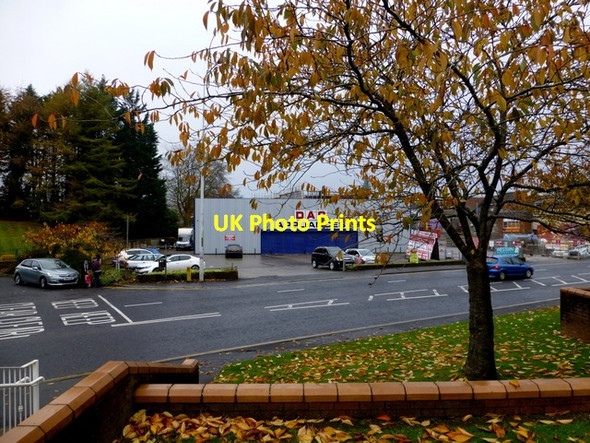 Photo 6"x4" A tree shedding leaves, Dublin Road, Omagh Omagh c2014