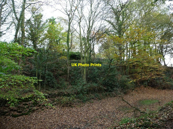 Photo 6"x4" East bank, Barnsley Canal, west of Walton Hall Overtown\/SE3516 c2014