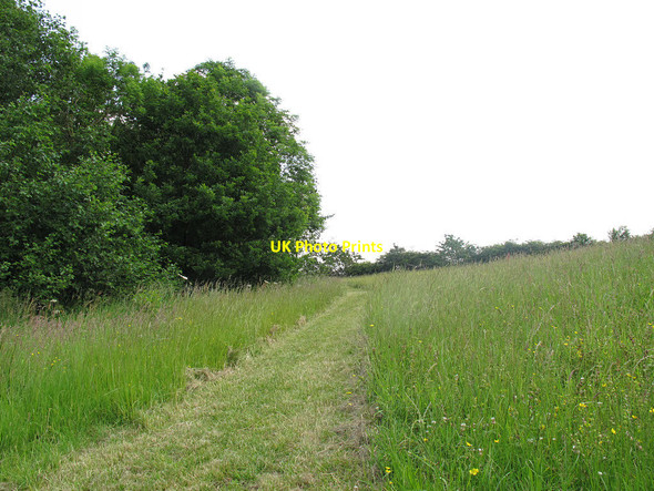Photo 6"x4" Path through a meadow Meerbrook c2014