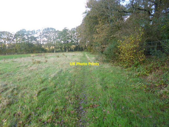 Photo 6"x4" Landford, footpath Landford c2014
