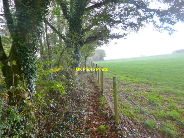 Photo 6"x4" Landford, footpath Landford c2014
