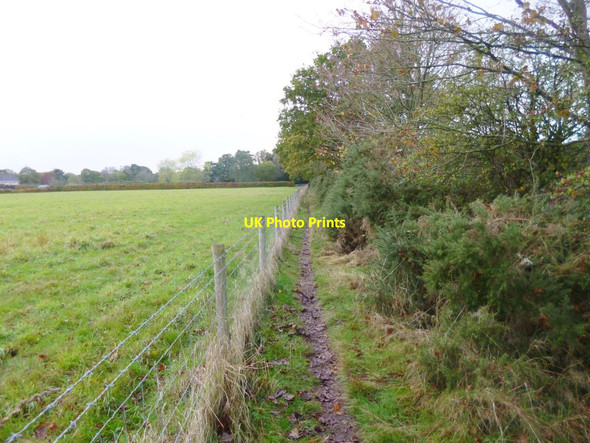Photo 6"x4" Landford, footpath Landford c2014