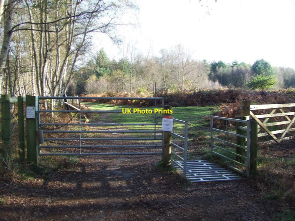 Photo 6"x4" Gate And Cattle Grid Dunwich c2014