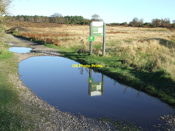 Photo 6"x4" Information Board Westleton c2014
