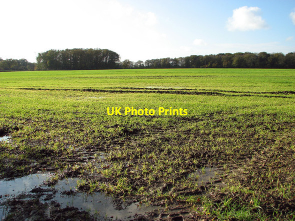 Photo 6"x4" Crop field by Scott Pasture Howe\/TM2799 c2014
