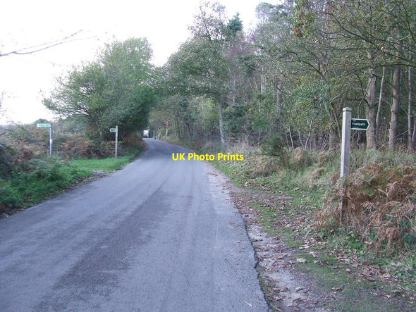 Photo 6"x4" Footpath Crossing Dunwich c2014