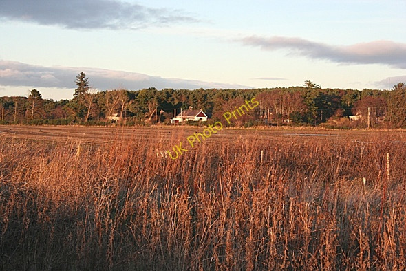 Photo 6"x4" Longhill from Darkland Darkland c2008