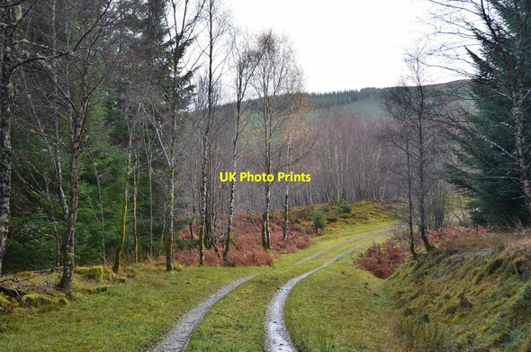 Photo 6"x4" Track junction near the Achmore Burn Killin\/NN5732 c2014