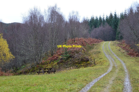 Photo 6"x4" Track by the Achmore Burn Killin\/NN5732 c2014