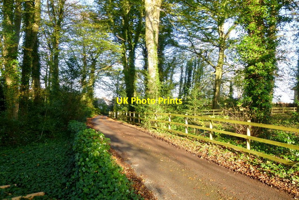 Photo 6"x4" Manor Lane, Abbot's Leigh Abbots Leigh\/ST5473 c2014