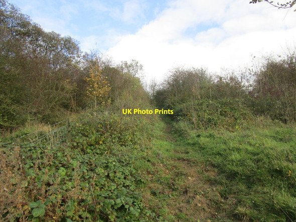 Photo 6"x4" Footpath up the hill, South Cliffe South Cliffe c2014