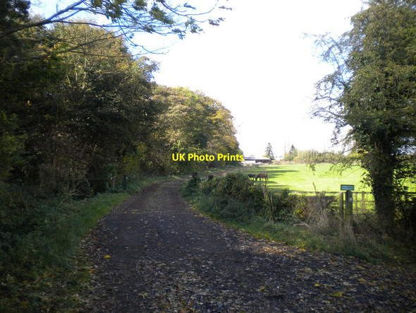 Photo 6"x4" Track towards Lambley House Arnold\/SK5945 c2014
