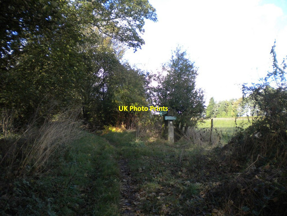 Photo 6"x4" Path junction east of Lambley House Arnold\/SK5945 c2014