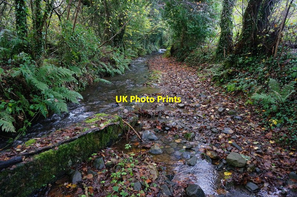 Photo 6"x4" Bridleway near Scorriton Combe\/SX7068 c2014
