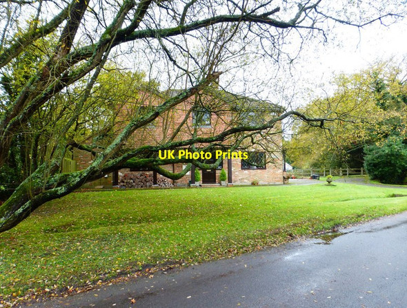 Photo 6"x4" Tree and house on Ford Lane Lucas Green\/SU9459 c2014