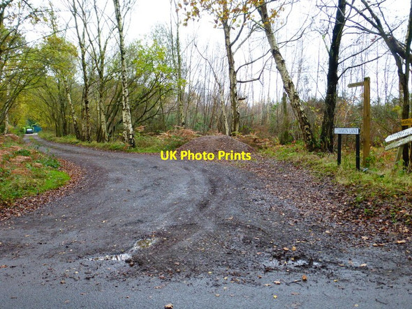 Photo 6"x4" Looking along the footpath called Common Lane Donkey Town c2014