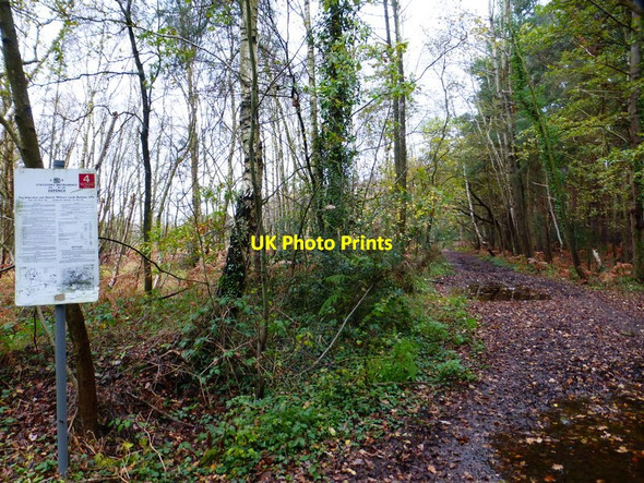 Photo 6"x4" Priest Lane passes MoD notice Donkey Town c2014