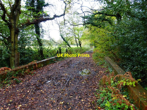 Photo 6"x4" Bridge over drain on Priest Lane Donkey Town c2014