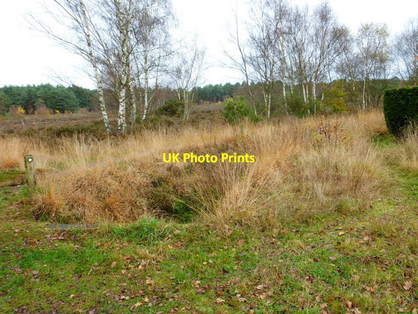 Photo 6"x4" Junction of footpath and track at Donkey Town Donkey Town c2014