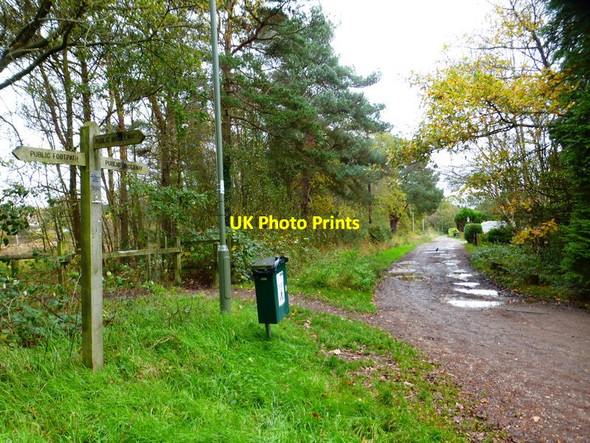 Photo 6"x4" Looking along Birch Lane from the west Donkey Town c2014