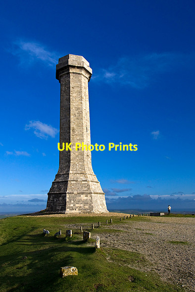 Photo 6"x4" Black Down Hill: Hardy Monument (2) Coryates c2014