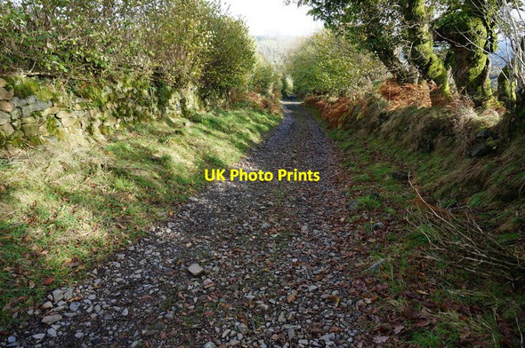Photo 6"x4" Bridleway to Michelcombe Michelcombe c2014