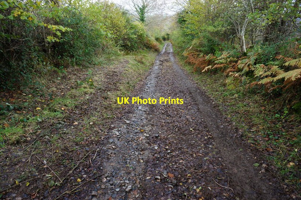 Photo 6"x4" Bridleway to Michelcombe Michelcombe c2014 P1