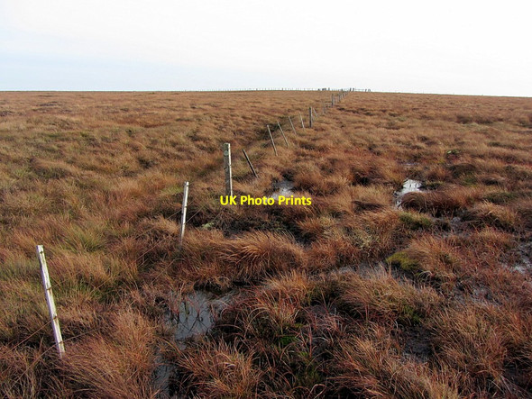 Photo 6"x4" Boggy moorland between Knoutberry Rigg & Redburn Edge Byerhope c2014