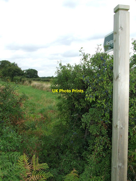 Photo 6"x4" Footpath Sign And Footpath Eyke c2014