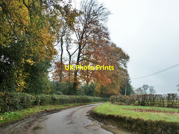 Photo 6"x4" Ledgemore Lane Great Gaddesden c2014