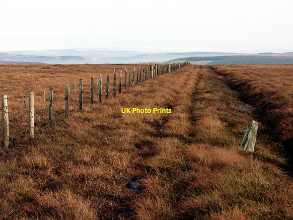 Photo 6"x4" Boundary north-east of Redburn Edge Byerhope c2014
