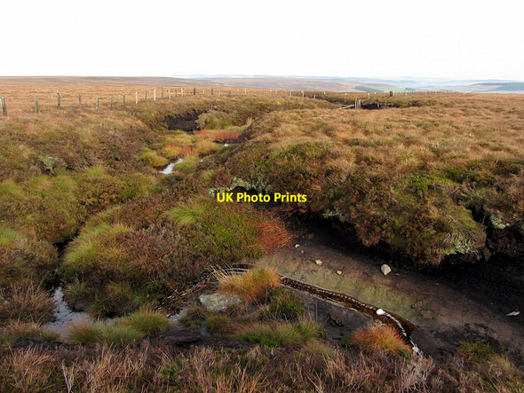 Photo 6"x4" One of the feeders of Nookton Burn Byerhope c2014