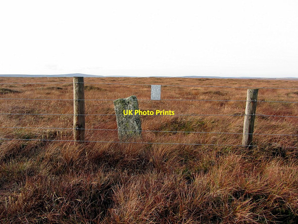 Photo 6"x4" Boundary Stone, Nookton Edge (east side) Byerhope c2014