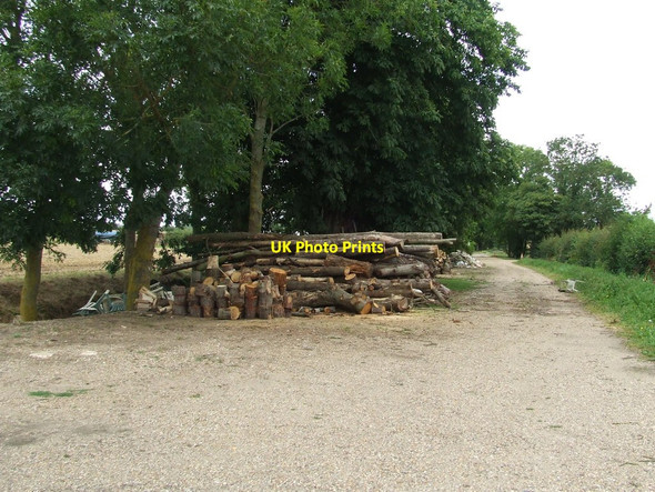 Photo 6"x4" Log Pile Hales Street c2014