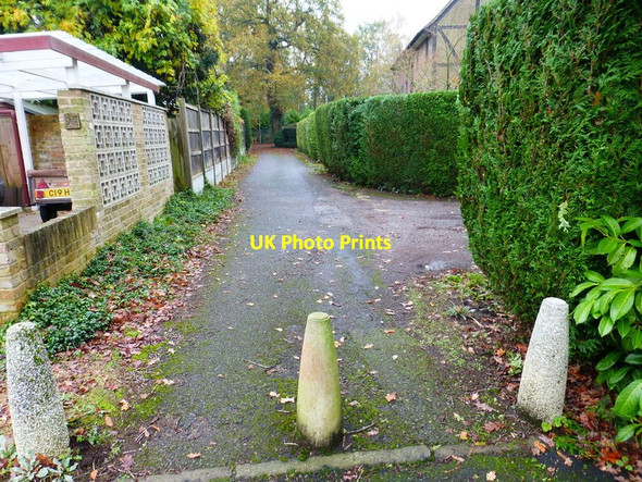 Photo 6"x4" Looking into Firbank Lane from Beacon Hill Woking c2014