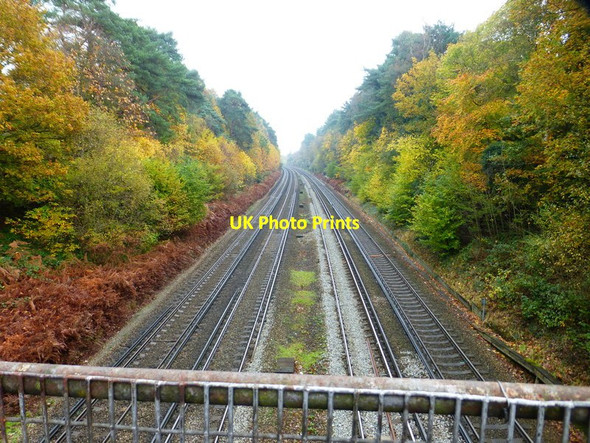 Photo 6"x4" Autumn colours by the railway Woking c2014