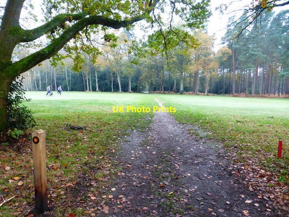 Photo 6"x4" Mile Path crosses golf course between woodland areas Woking c2014