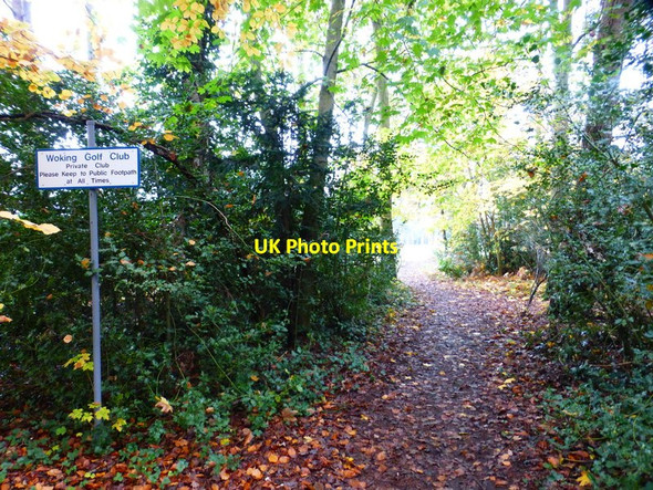 Photo 6"x4" Footpath approaches golf course Hook Heath c2014