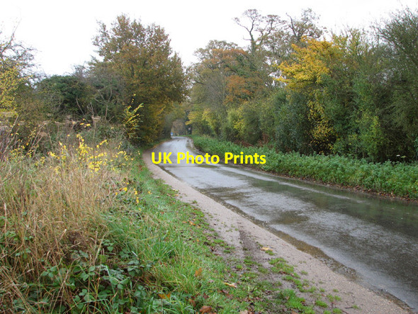 Photo 6"x4" Approaching Swainsthorpe on Church Road Swainsthorpe c2014