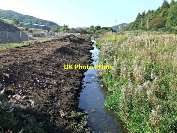 Photo 6"x4" Spango Burn Spango\/NS2374 c2014