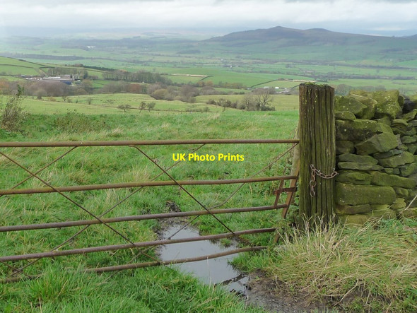 Photo 6"x4" Hillside above Catlow Gill Carleton-in-Craven c2014