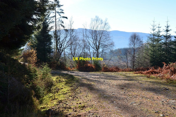 Photo 6"x4" Track junction, Gleann Suileag Fassfern\/An Fasadh Fearna c2014