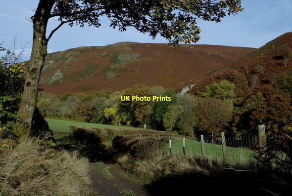 Photo 6"x4" Track to Cwm Chwefri Llanafan-fawr c2014