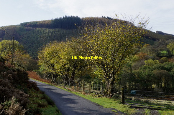 Photo 6"x4" Lane and gateway, Cwm Chwefri Llanafan-fawr c2014