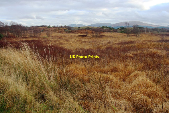 Photo 6"x4" Moorland at South Shian South Shian c2014