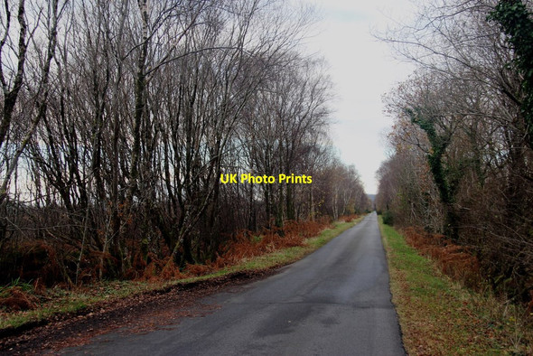 Photo 6"x4" Road through Moss of Achnacree Ledaig\/NM9037 c2014