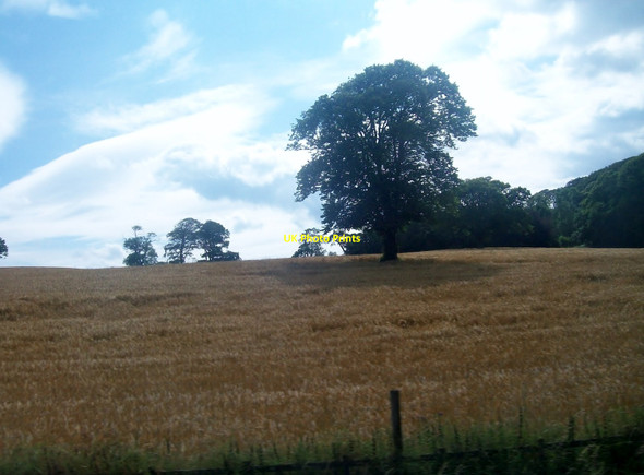 Photo 6"x4" Farmland on the Mount Panther Estate, Clough Clough\/J4040 c2014