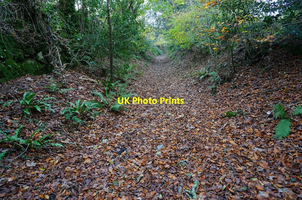 Photo 6"x4" Park Lane Woodford\/SX5357 c2014