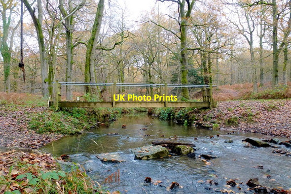 Photo 6"x4" The Cannop Brook, 3 Cannop c2014